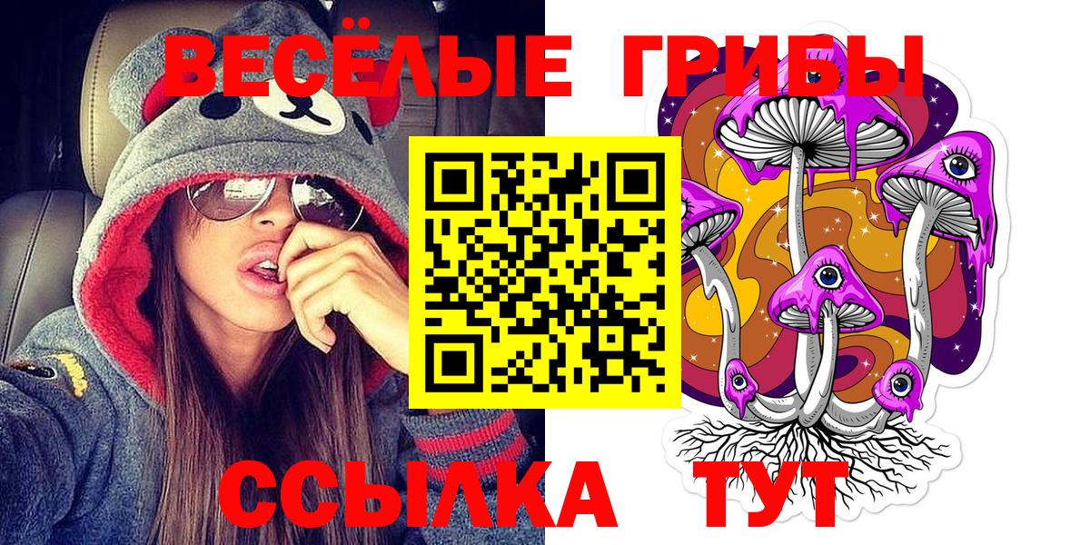 Верхняя Салда  Галлюциногенные грибы Psilocybe  Вход с VPN 